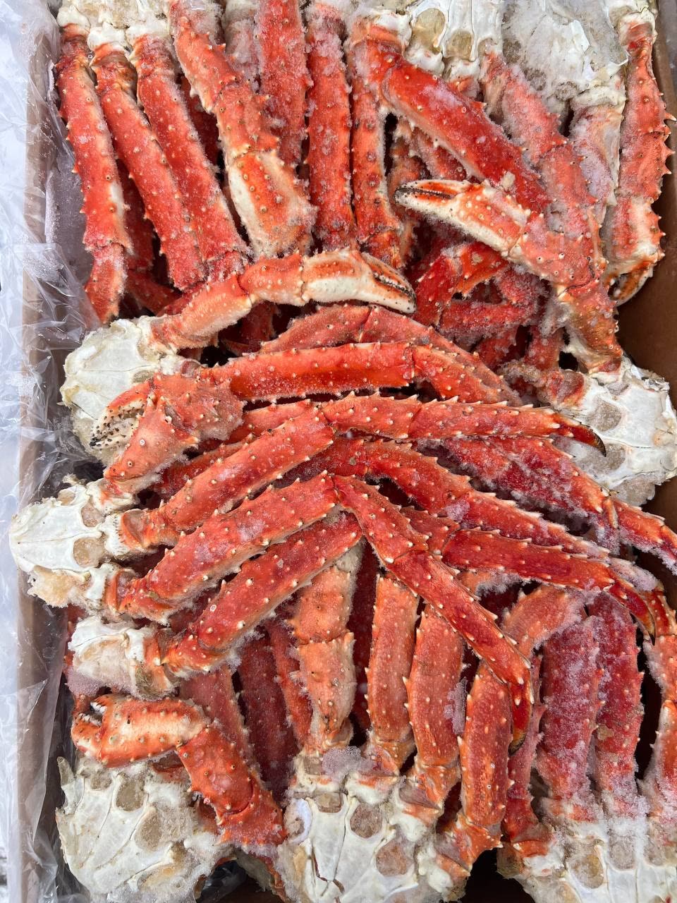 Краб Камчатский (конечности), M (в/м)